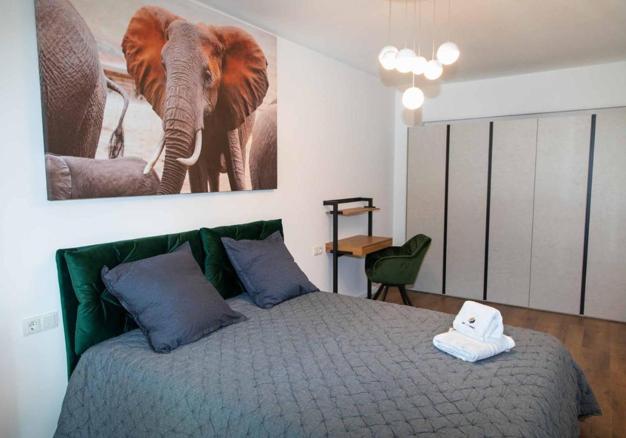 Bg Luximmo Apartments كلوج-نابوكا المظهر الخارجي الصورة